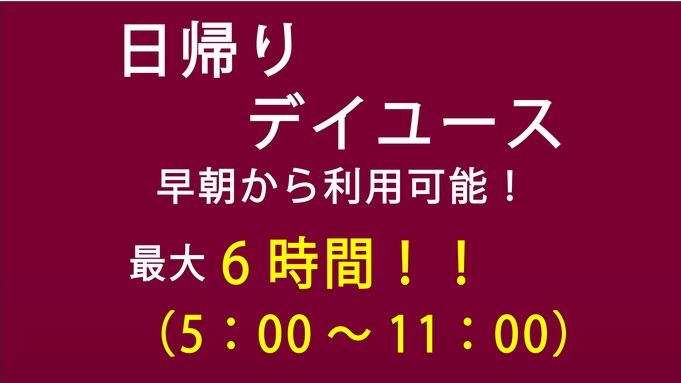 【最大6時間利用可能♪】早朝5:00チェックイン&チェックアウト11:00まで！★日帰りデイユース★